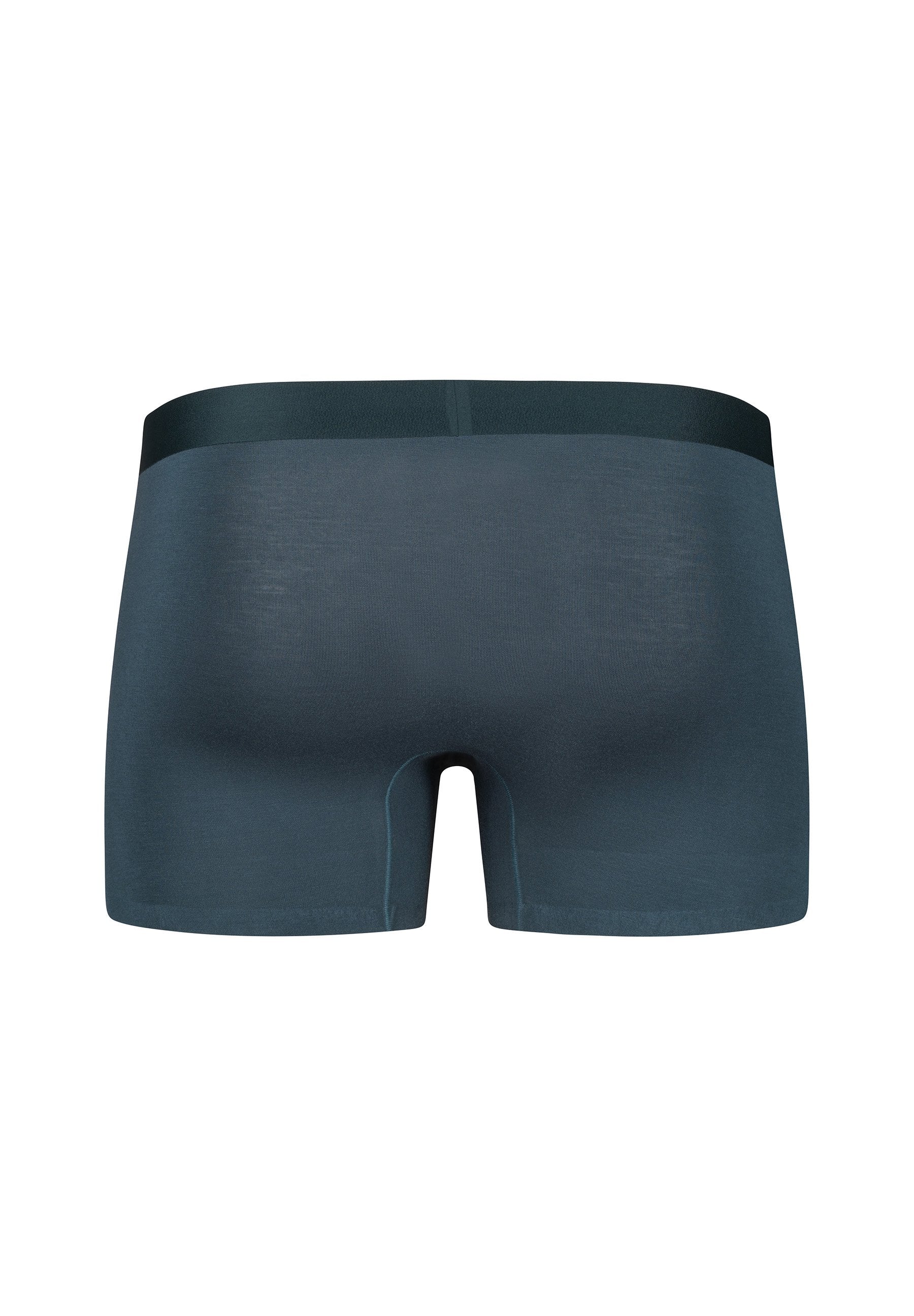 Smartouch Trunks | blueberry 081431-08S994 - Image 4