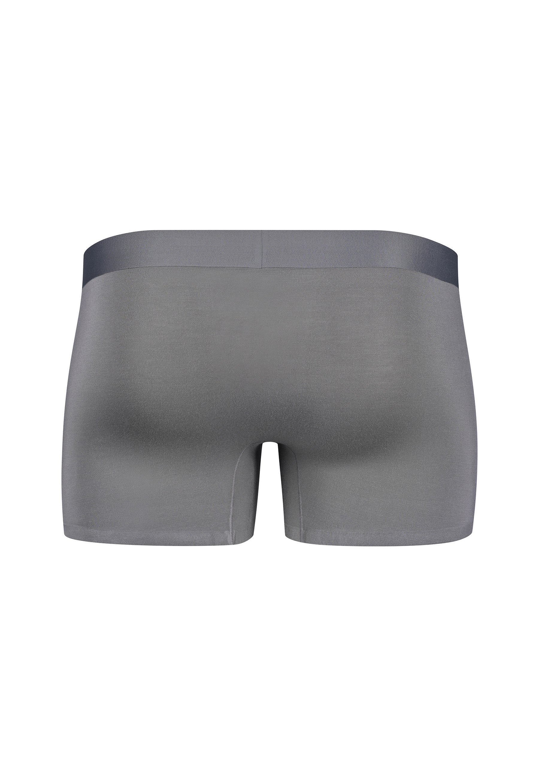 Smartouch Trunks | grey 081431-08S590 - Image 4